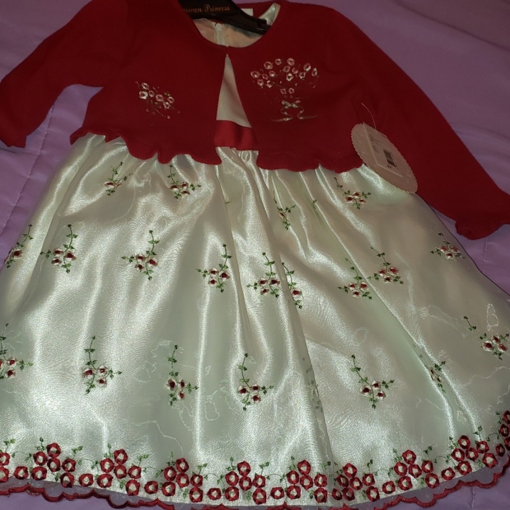 Beautiful Embroidered Dress